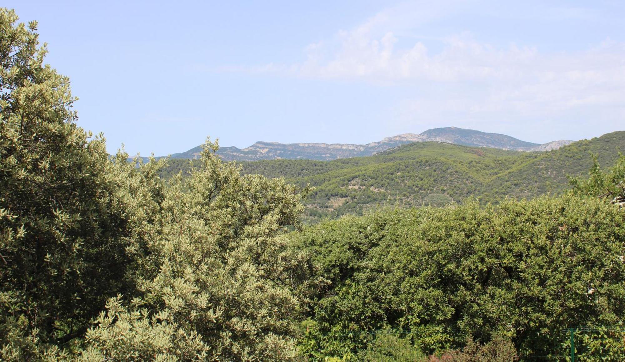 Le Pas Du Ventoux Villa Mollans-sur-Ouveze Ngoại thất bức ảnh